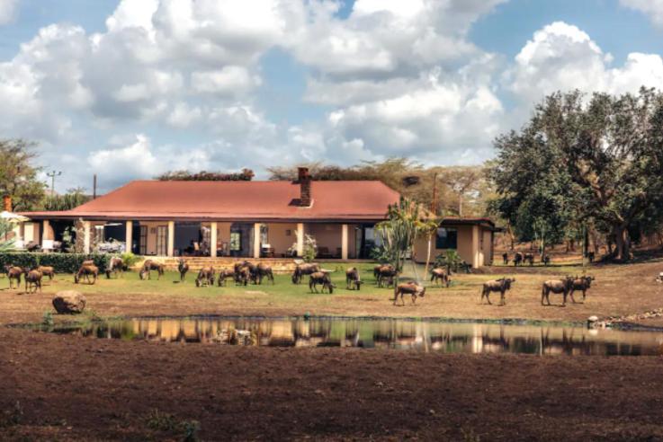 Wildlife Residence Tuvaila Exterior photo